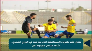 تعادل مثير لكهرباء الإسماعيلية أمام بتروجيت في الدوري المصري.. شاهد ملخص المباراة الآن